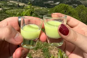 Tour image of Troodos Mountains Jeep Tour with Wine Tasting