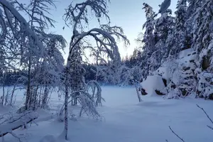 Tour image of Half-Day Nature Adventure to Nuuksio National Park from Helsinki