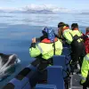 Image of Wildlife Encounters