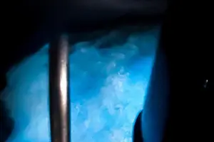 Tour image of The ULTIMATE Bioluminescence night time adventure with Brandon
