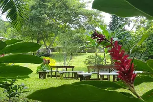 Tour image of Ocho Rios: Amazing Blue Hole and Chill at Reggae Hill