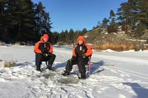 Tour image of Snowmobile Safari in Helsinki Archipelago with Lunch