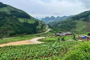Tour image of Ban Gioc Waterfall - Nguom Ngao Cave full day - BEST SELLING