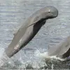 Image of Nature and Wildlife Tours