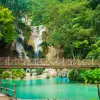Image of Nature Walks