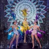 Image of Shows & Performances