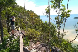 Tour image of Bako National Park Tour – Wild Encounters in Sarawak’s Rainforest