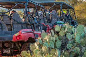 Tour image of Guided Arizona Desert Tour by UTV - Centipede Tour