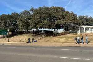 Tour image of John F. Kennedy Trolley Tour in Dallas
