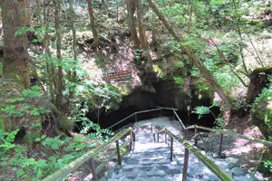 Tour image of Mt. Fuji Customized Private Tour: See Top Attractions in 1 Day