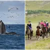 Image of Sightseeing Cruises