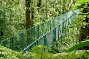 Tour image of Selvatura Park Hanging Bridge Tour in Monteverde