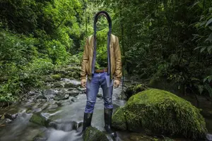 Tour image of Monteverde Cloud Forest Tour