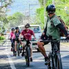 Image of Mountain Bike Tours