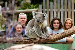 Image of Australia