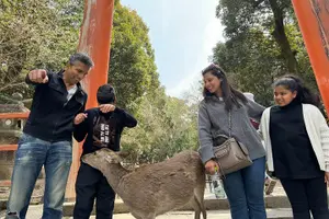 Tour image of Half Day Nara and Wazuka Matcha Farm Private Tour