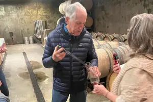 Tour image of Private Wine Excursion Willamette Valley, Oregon - Wine Tour