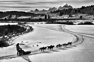 Tour image of Jackson Hole Full-Day Dog Sledding and Snowmobiling Combo Trip