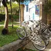 Image of Bike Rentals