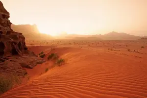 Tour image of Petra and Wadi Rum 2 Days 1 Night Tour from Eilat Border