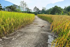 Tour image of Ha Giang Loop Trekking Full Day Tour