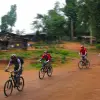 Image of Plantation Tours