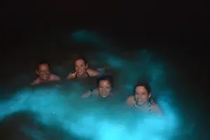 Tour image of Luminous lagoon Night Tour Montego Bay