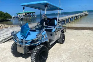 Tour image of 4-Seater Golf Cart Rental in San Pedro