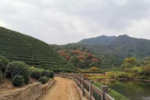 Tour image of Classic Hangzhou city day tour