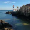 Image of Nature Walks