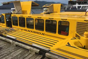 Tour image of Hovercraft Eco Adventure and Wildlife Viewing