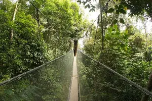 Tour image of Kinabalu Park and Poring Hot Spring