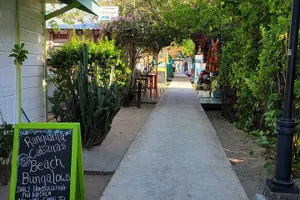 Tour image of Transfer from Placencia to Belize Airport BZE and Belize City
