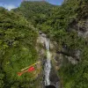 Image of In the Air