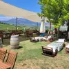 Image of Wine, Beer & Spirits