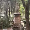 Image of Plantation Tours
