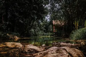 Tour image of Samui Zipline Adventure with Transfer service