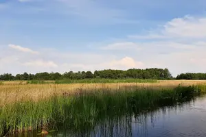 Tour image of Giethoorn Private 1 or 2 Hour VIP Boat Tour