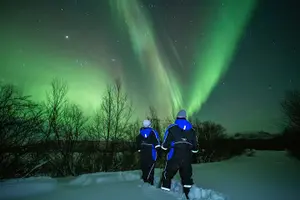 Tour image of Northern Lights Minibus Chase – Small Group Tour with Free Photos