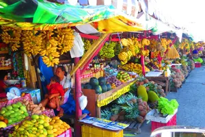 Tour image of Pagsanjan Falls-Taal Volcano-Tagaytay ultimate Day Tour frm MNL