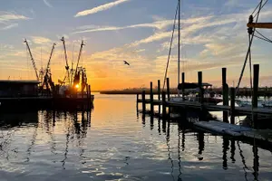 Tour image of Charleston History Tour /