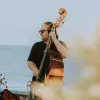 Image of Jazz Shows