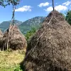 Image of Nature Walks