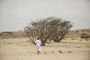 Tour image of Empty Quarter and a Lost city