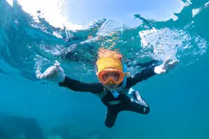 Tour image of Let's swim with sea turtles in Yakushima!Snorkeling Tour
