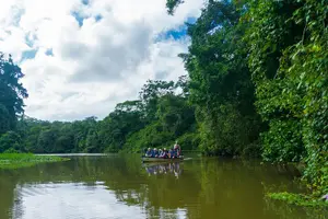 Tour image of Tortuguero:Canoe tour, day hike, hill tour, night or spawning tour