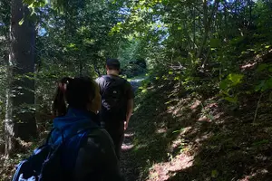 Tour image of Village Explorer