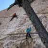 Image of Climbing