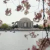 Image of Pedicab Tours