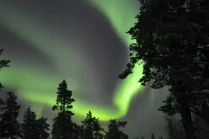 Tour image of 3-Hour Snowmobile Safari to Search Northern Lights in Levi